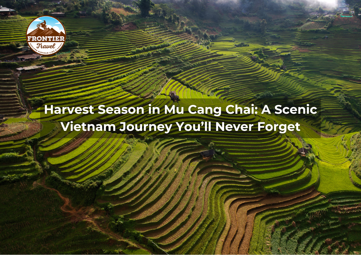 Harvest Season In Mu Cang Chai: A Scenic Vietnam Journey You’ll Never Forget